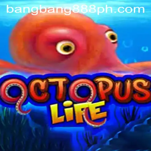 Dive into the World of OctopusLife: A New Gaming Sensation