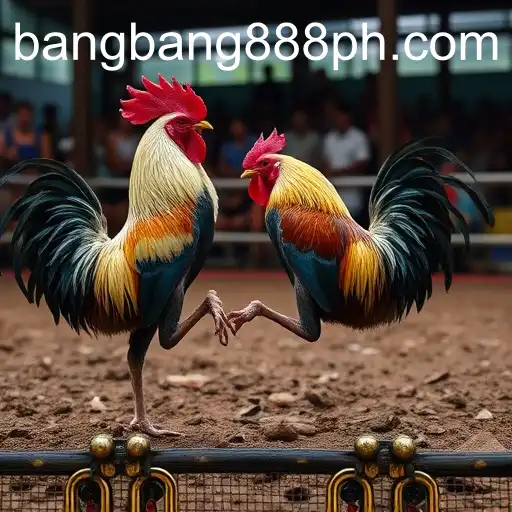 The Evolution of Online Sabong and the Rise of Platforms like Bangbang888